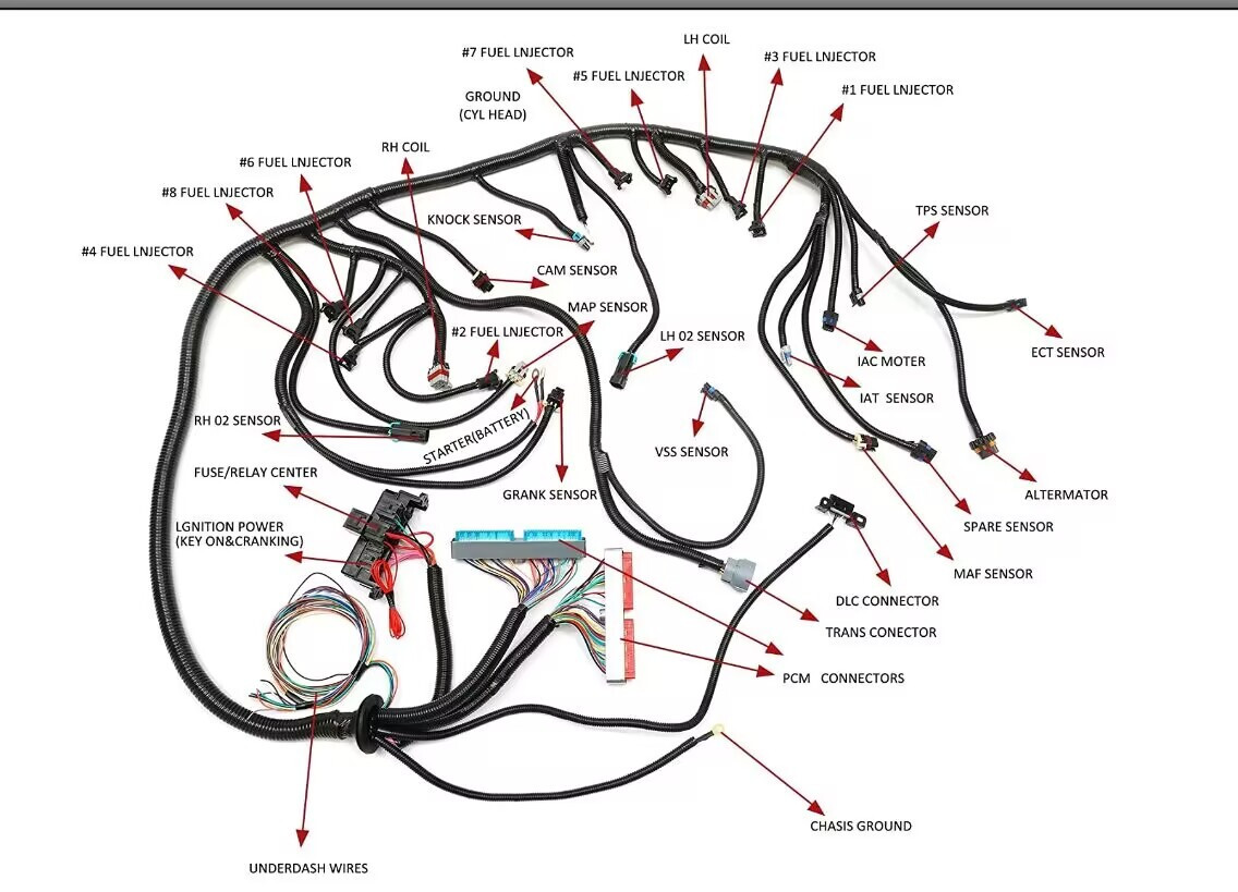 LS Swap Standalone Wiring Harness LS1-4L60E DBC 4.8 5.3 6.0 1997-2006 EngineLoom