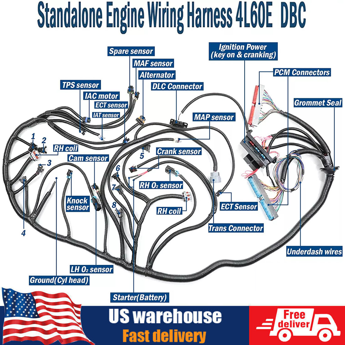 LS Swap LS1 4L60E DBC Harness 4.8 5.3 6.0 1997-2006 Stand Alone Wiring Conversio