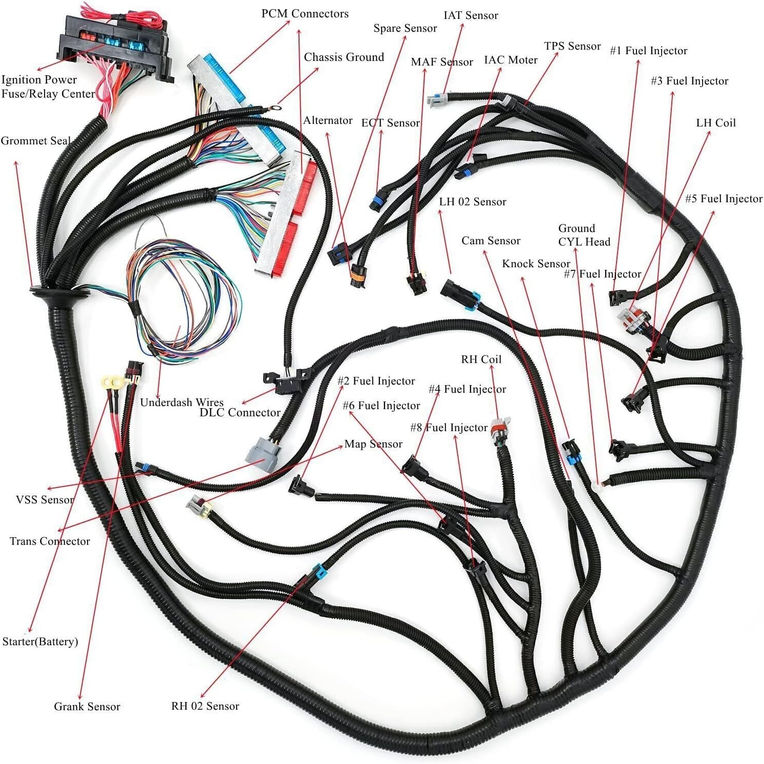 Stand Alone 4L60E Wiring Harness For Drive by Cable LS1 4.8 5.3 6.0 97-06 Swap