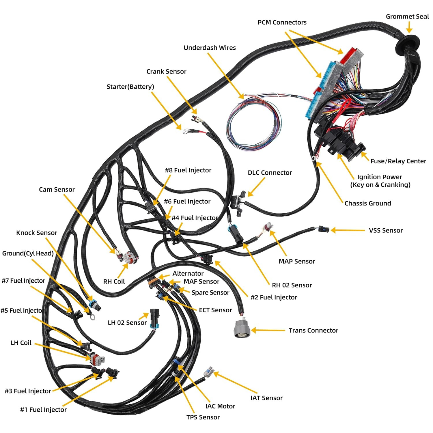 LS Standalone Wiring Harness 4L60E DBC Compatible with 1997-2006 GM LS1 Gen 3